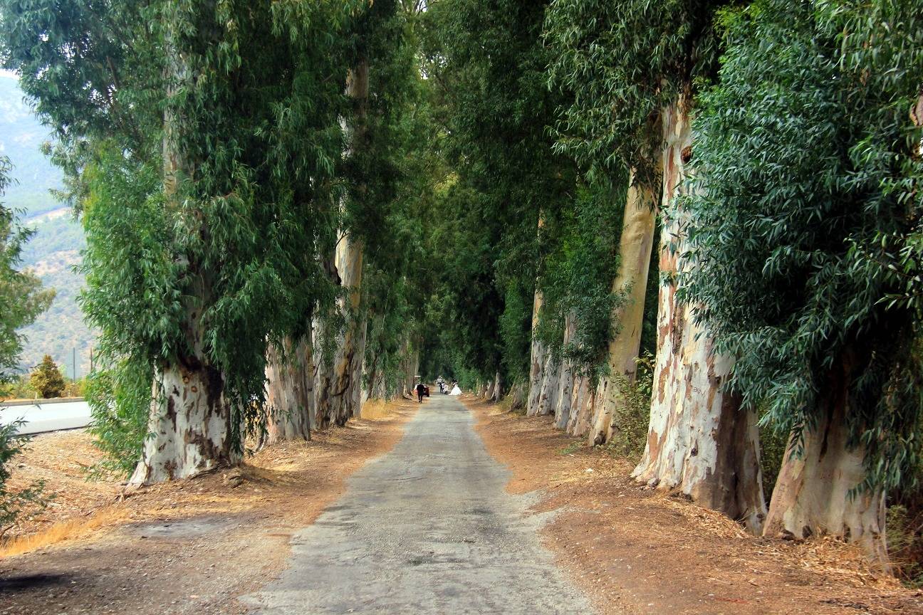 Gökova Aşıklar Yolu