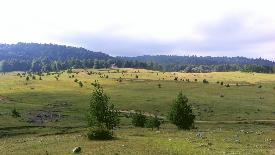 Soğucak Yaylası